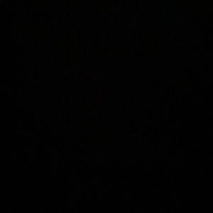 Meet your Posher, Loni